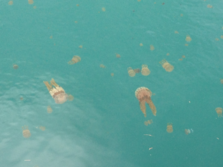 image-20130906224135.png
